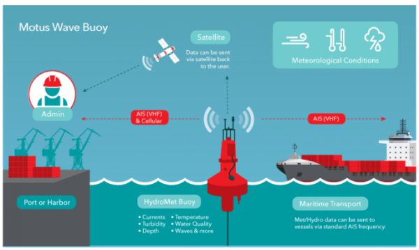 MOTUS Wave Buoy
